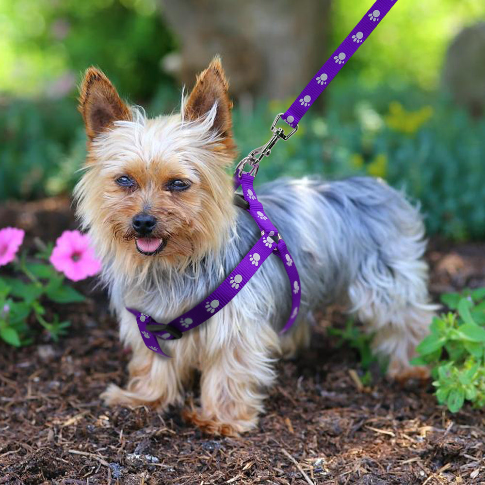 Stylish Paw Print Adjustable Harness & Leash - Pet Bliss