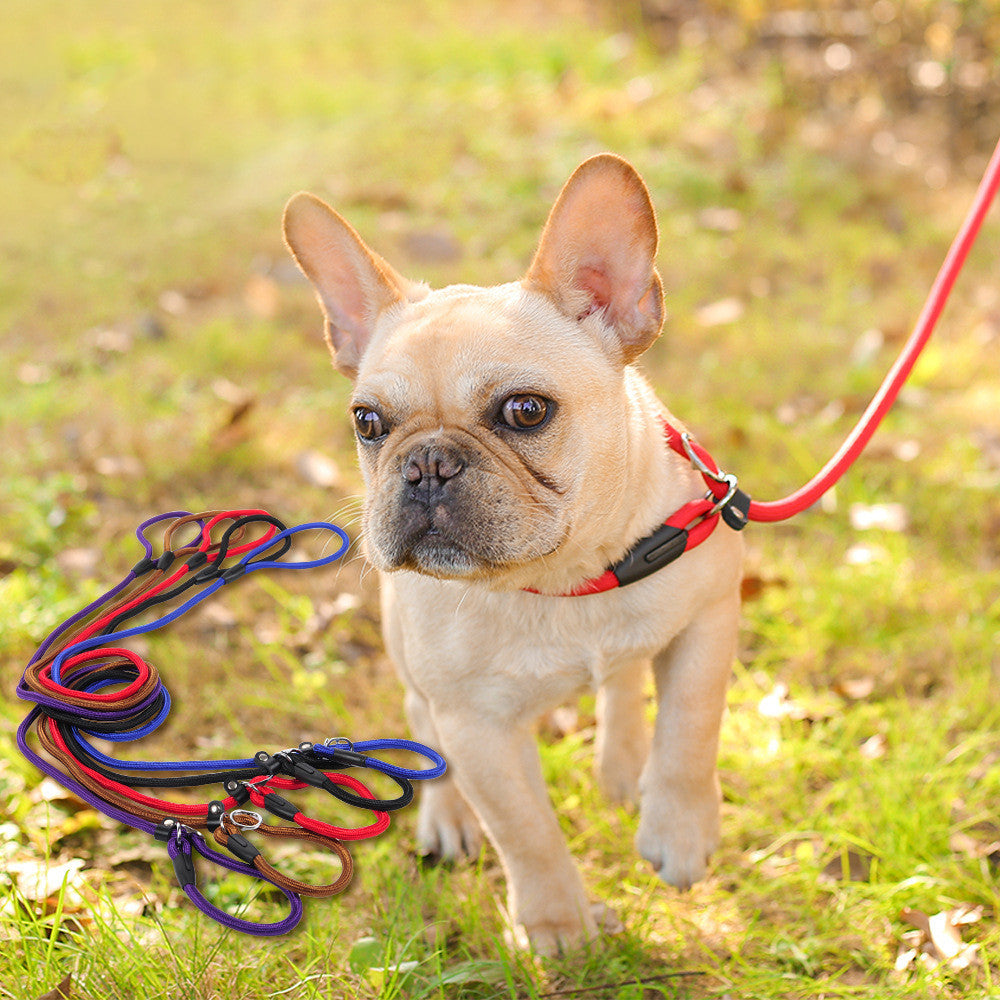 Dog Leash for Small, Medium & Large Dogs – Strong, Safe & Comfortable! - Pet Bliss