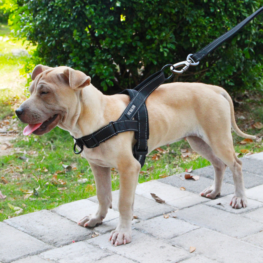 No-Pull Adjustable Dog Harness & Leash Set – Comfort & Control! - Pet Bliss