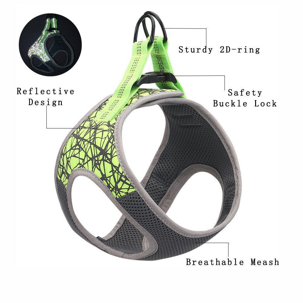 Comfort Fit No-Pull Dog Harness – Ultimate Support & Security! - Pet Bliss