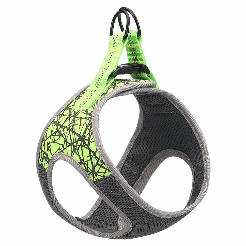 Comfort Fit No-Pull Dog Harness – Ultimate Support & Security! - Pet Bliss
