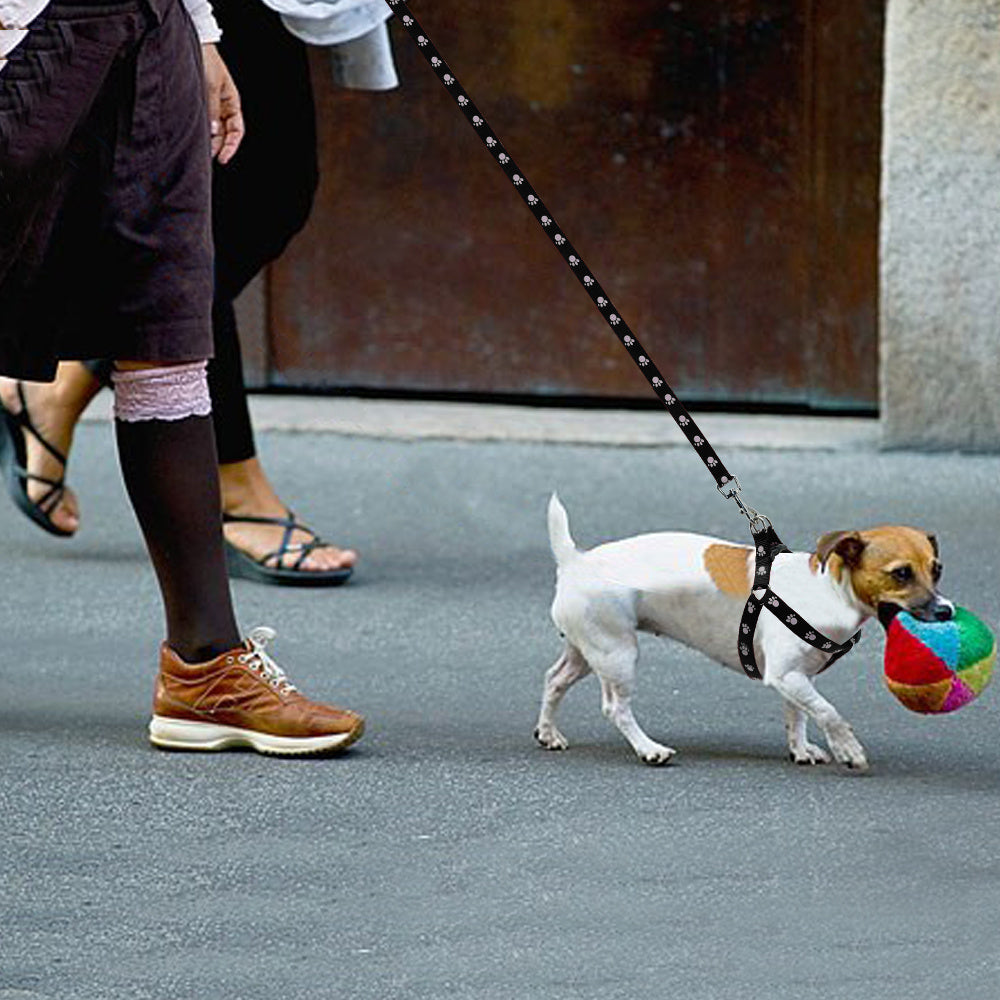 Stylish Paw Print Adjustable Harness & Leash - Pet Bliss