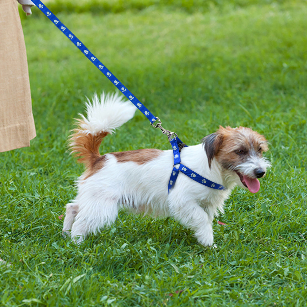 Stylish Paw Print Adjustable Harness & Leash - Pet Bliss