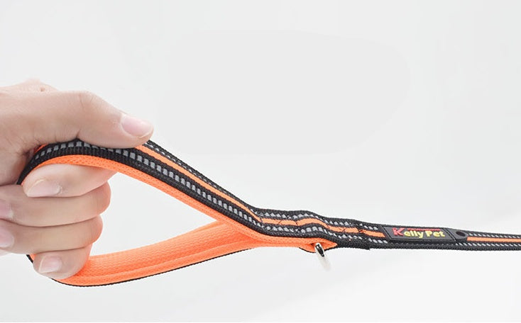 Reflective Dual-Handle Dog Leash β Control & Comfort in One! - Pet Bliss