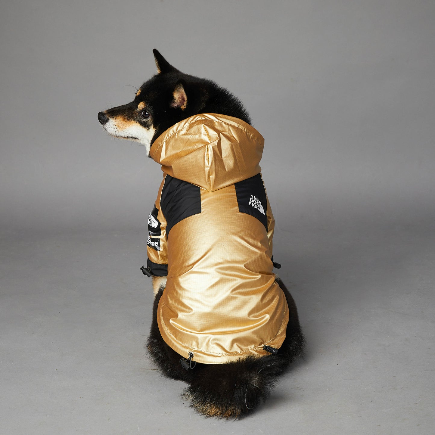 Luxury Dog Puffer Jacket – Style Meets Comfort - Pet Bliss