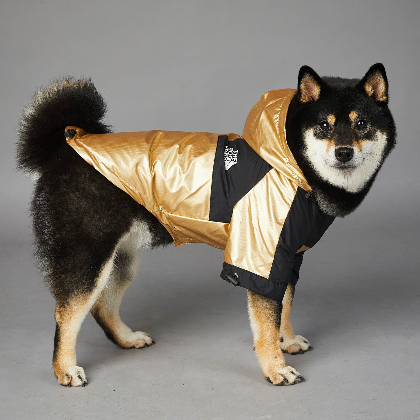 Luxury Dog Puffer Jacket – Style Meets Comfort - Pet Bliss