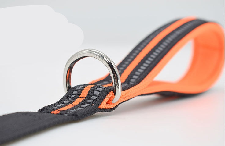 Reflective Dual-Handle Dog Leash – Control & Comfort in One! - Pet Bliss