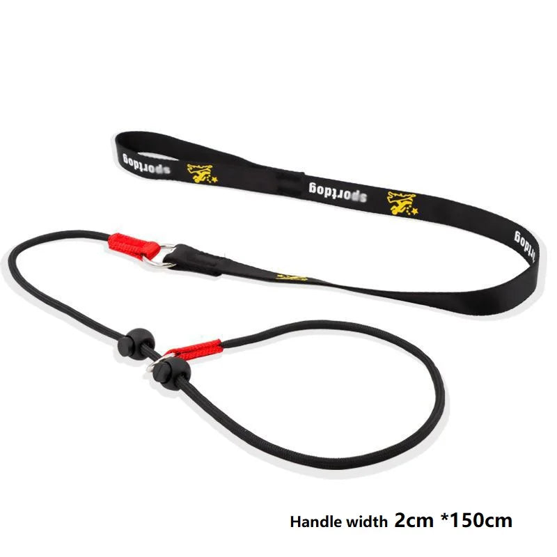 Slip Training Leash – Simple Control, Confident Walks - Pet Bliss