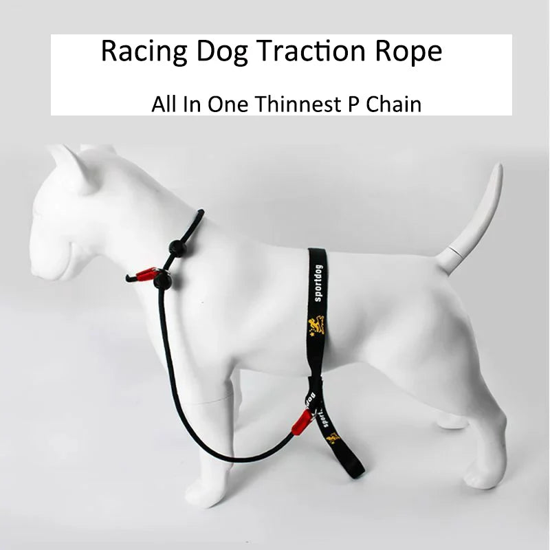 Slip Training Leash – Simple Control, Confident Walks - Pet Bliss