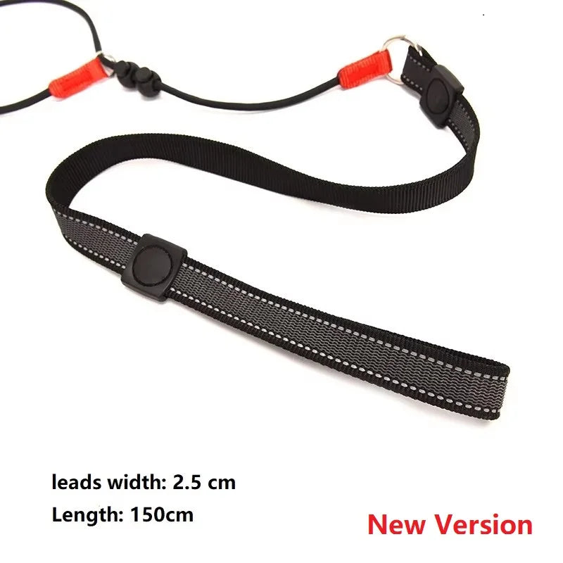 Slip Training Leash – Simple Control, Confident Walks - Pet Bliss