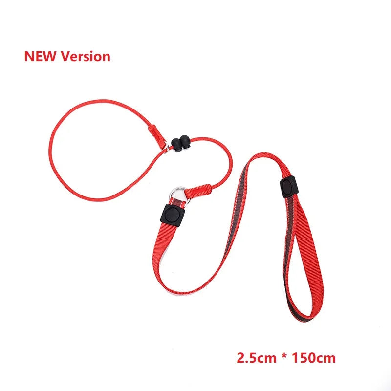 Slip Training Leash – Simple Control, Confident Walks - Pet Bliss