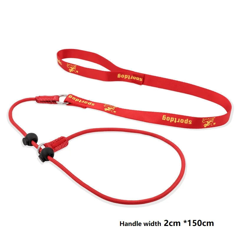 Slip Training Leash – Simple Control, Confident Walks - Pet Bliss
