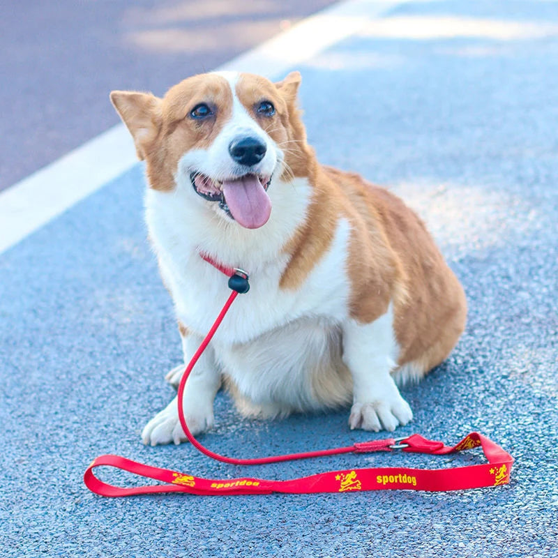 Slip Training Leash – Simple Control, Confident Walks - Pet Bliss