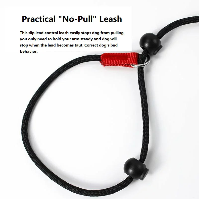 Slip Training Leash – Simple Control, Confident Walks - Pet Bliss