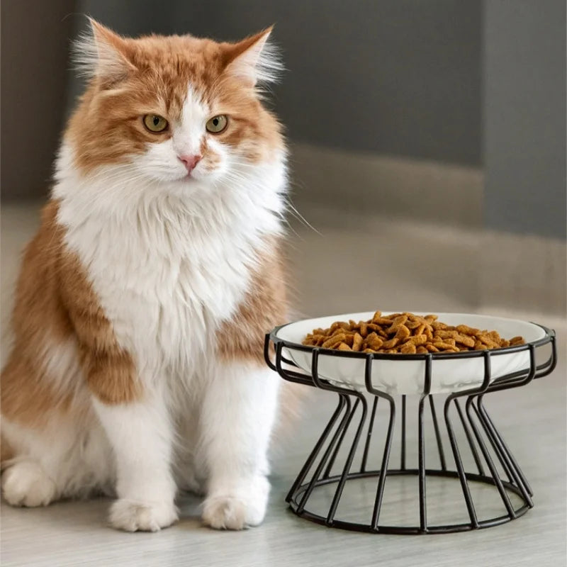 Elevated Ceramic Pet Bowl – Eat in Style, Digest with Ease - Pet Bliss