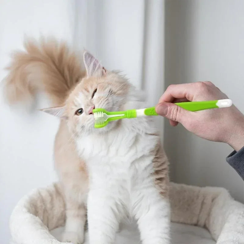 360° Pet Toothbrush - Pet Bliss