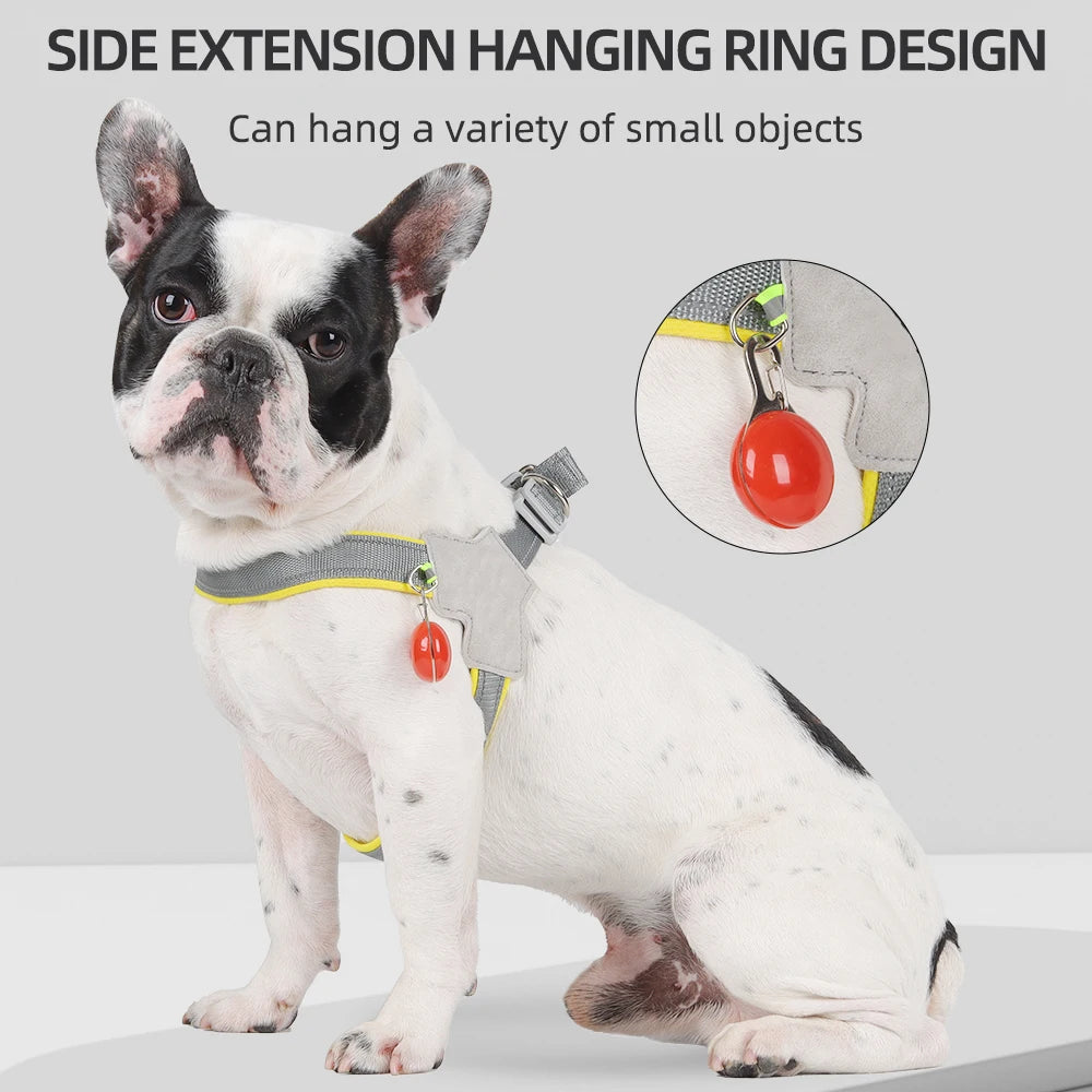 Reflective Dog Harness โ Control Meets Comfort ๐ฆฎ - Pet Bliss