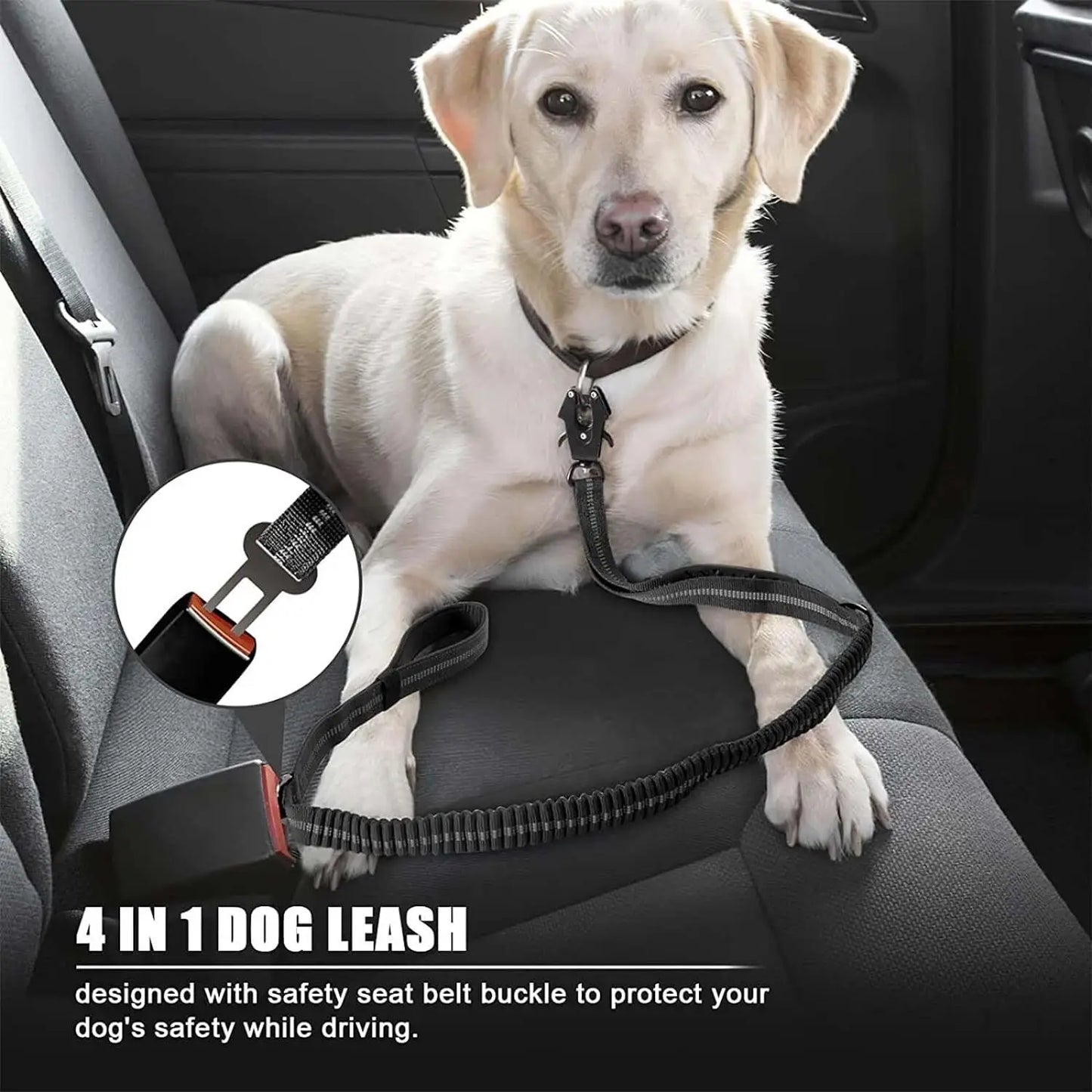 Shock-Absorbing Bungee Dog Leash – Strength Meets Comfort - Pet Bliss