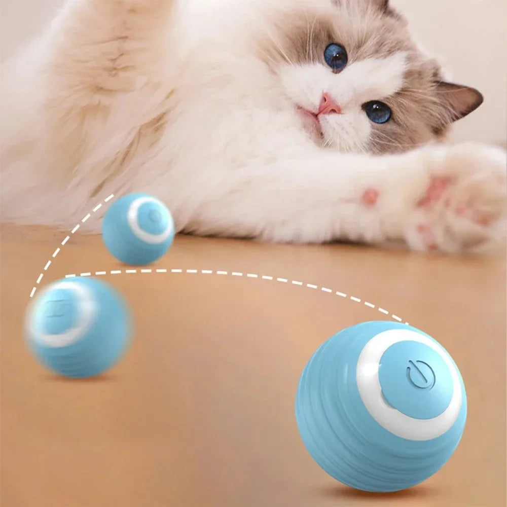 Automatic LED Cat Ball - Pet Bliss