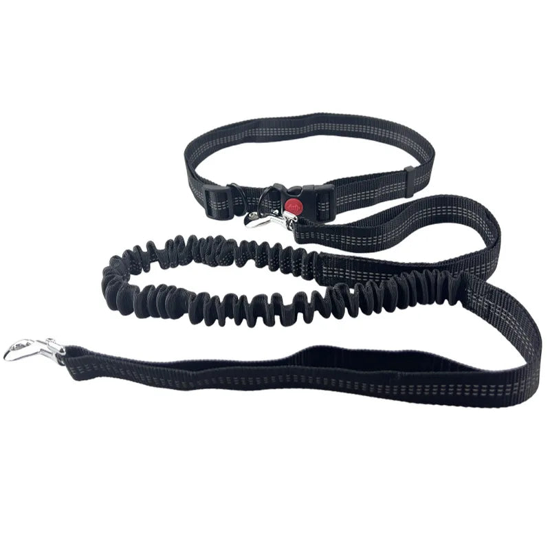 Hands-Free Running Leash – Run, Walk, Play, Repeat - Pet Bliss