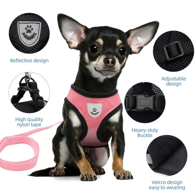Everyday Mesh Harness Set – Easy, Breezy, Walk-Ready - Pet Bliss