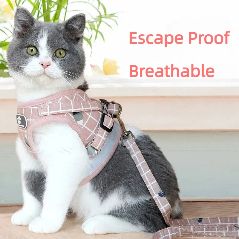 All-in-One Harness Set – Walk in Style & Comfort - Pet Bliss