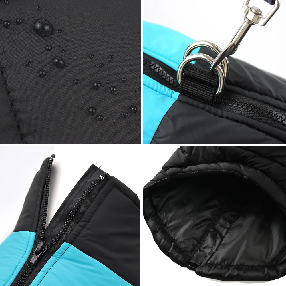Color-Block Waterproof Dog Jacket – Bold Looks, Warm Walks - Pet Bliss