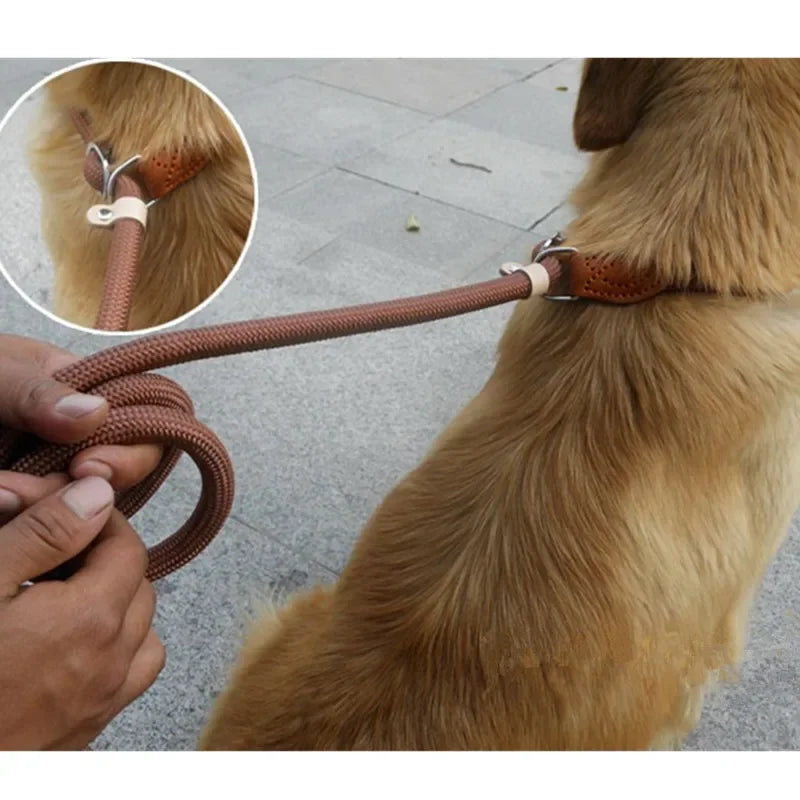 Adjustable Slip Dog Leash – Simple, Secure & Tangle-Free - Pet Bliss