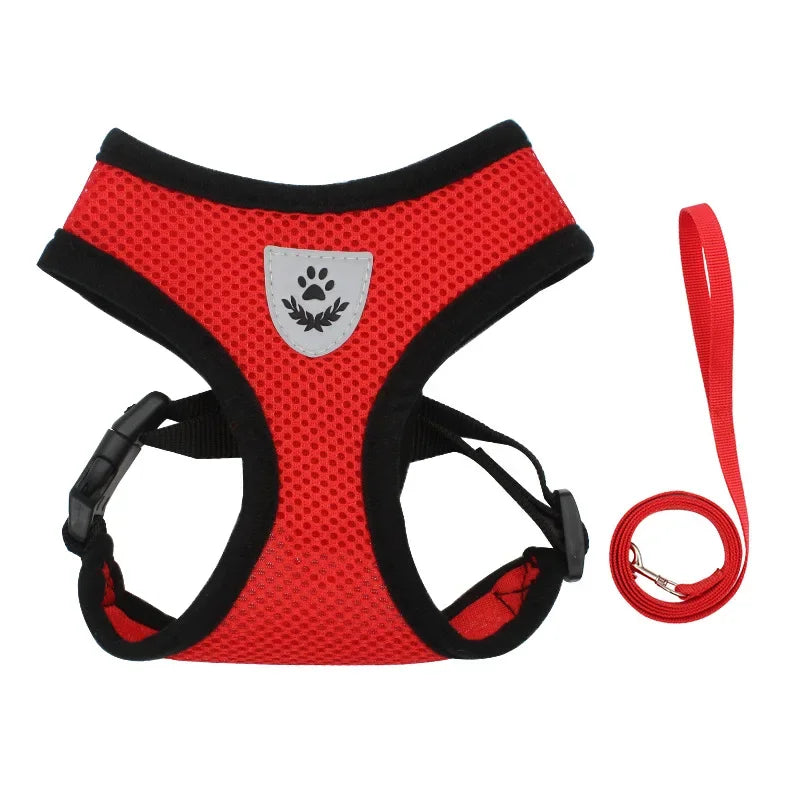 Everyday Mesh Harness Set – Easy, Breezy, Walk-Ready - Pet Bliss
