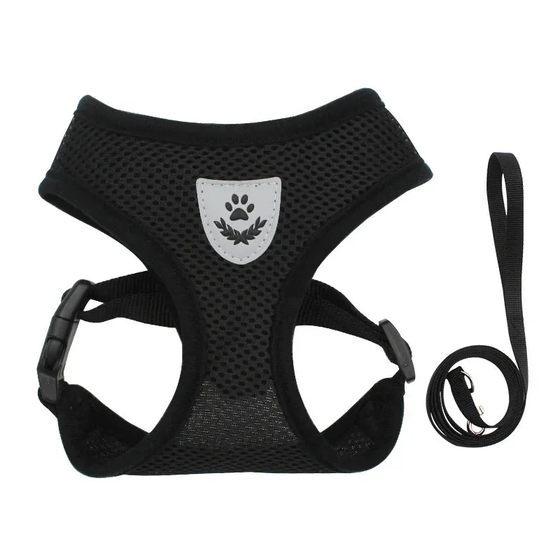Everyday Mesh Harness Set – Easy, Breezy, Walk-Ready - Pet Bliss