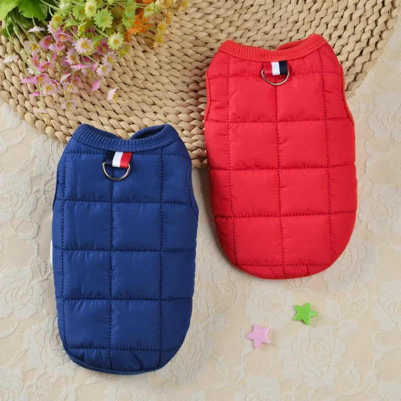 Quilted Dog Winter Vest – Warm Walks, Cozy Pup ❄️ - Pet Bliss