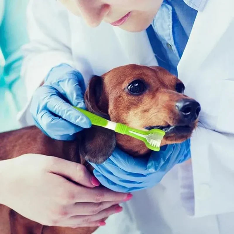 360° Pet Toothbrush - Pet Bliss