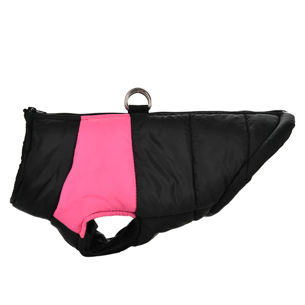 Color-Block Waterproof Dog Jacket – Bold Looks, Warm Walks - Pet Bliss