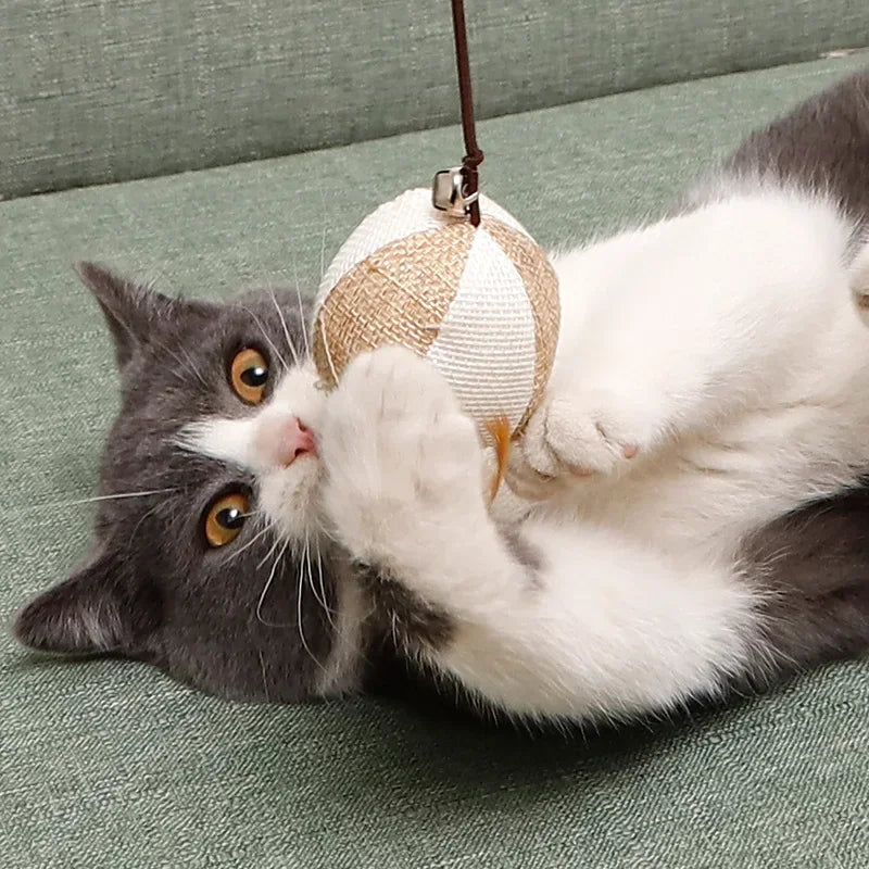 Interactive Cat Wand Toy Set 🎣 - Pet Bliss