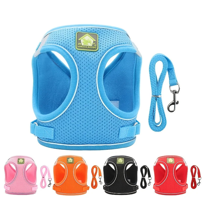 Air Mesh Pet Harness & Leash Set – Cool, Comfy, and Under Control - Pet Bliss