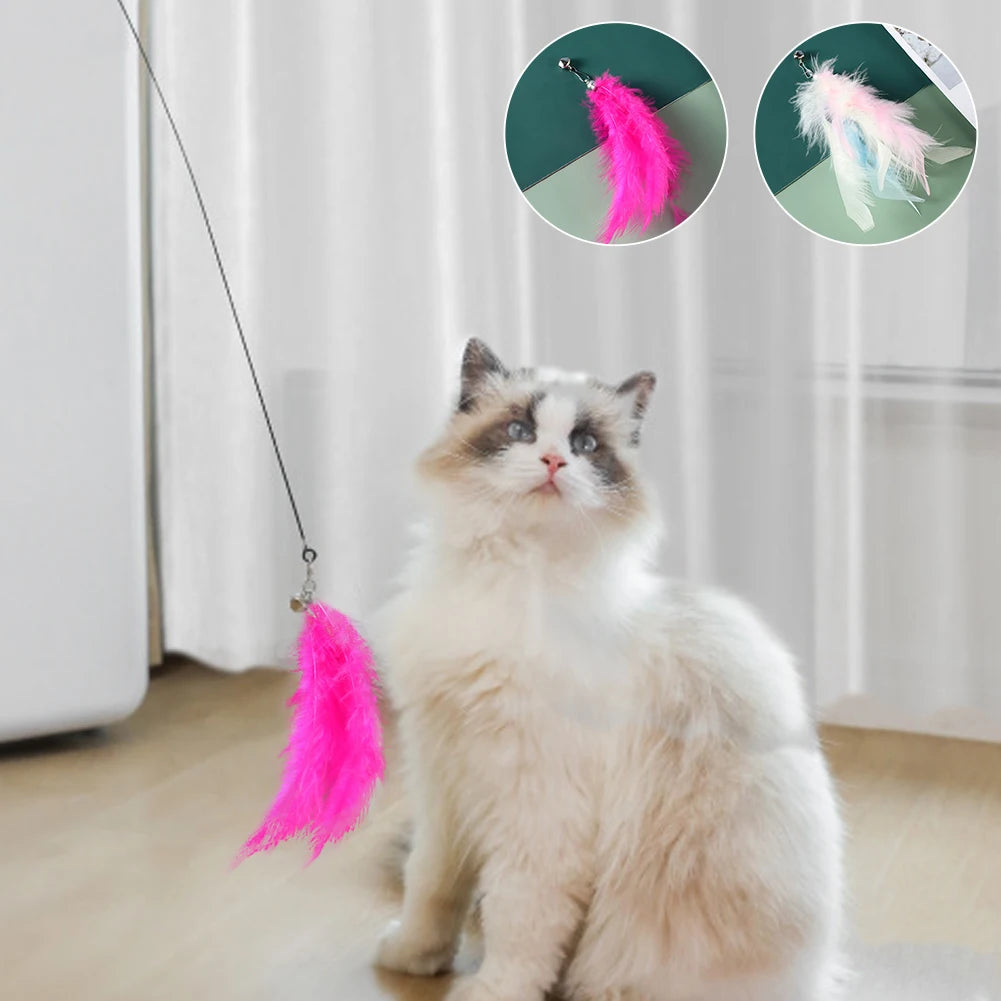 Feather Cat Teaser Wand – Interactive Fun for Your Feline - Pet Bliss