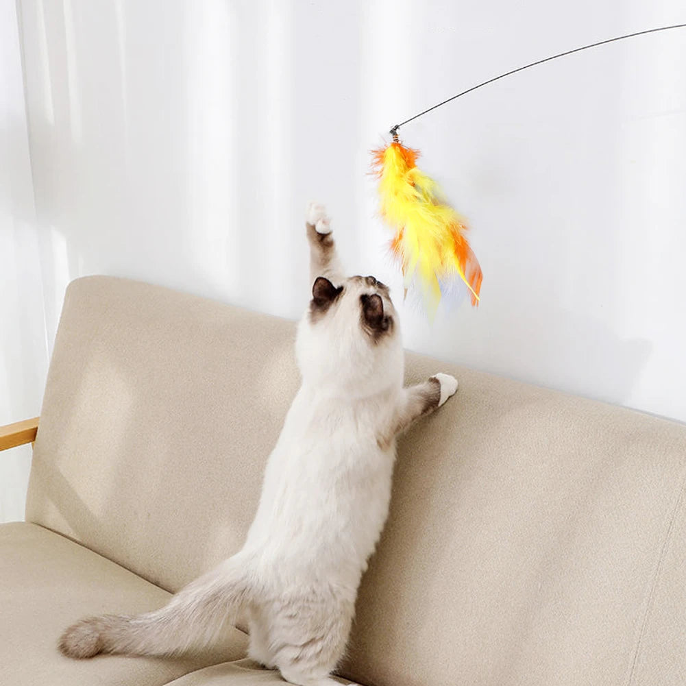 Feather Cat Teaser Wand – Interactive Fun for Your Feline - Pet Bliss