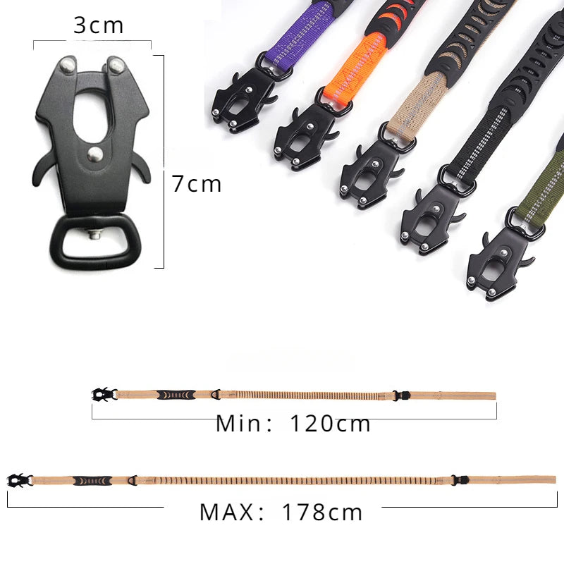 Shock-Absorbing Bungee Dog Leash – Strength Meets Comfort - Pet Bliss
