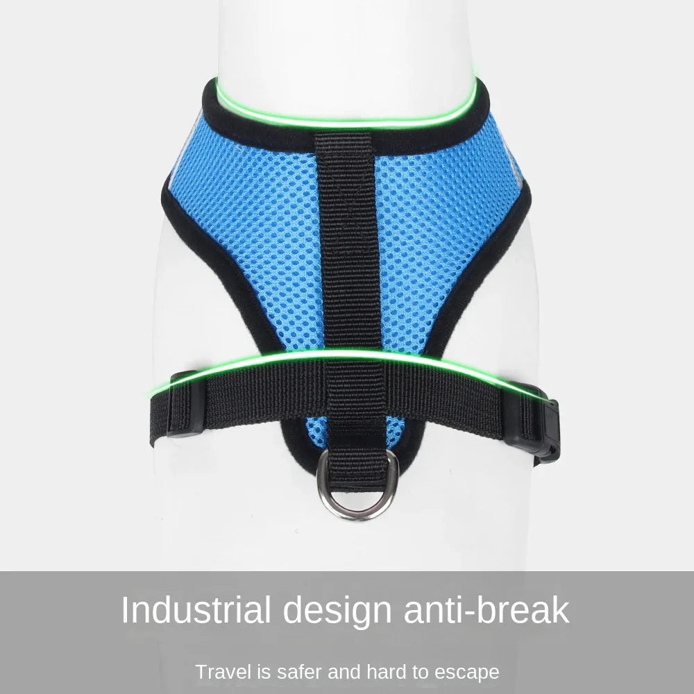 Everyday Mesh Harness Set – Easy, Breezy, Walk-Ready - Pet Bliss