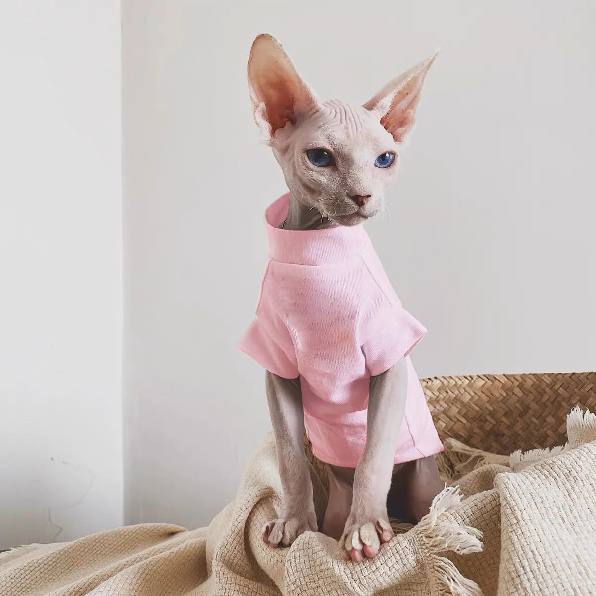 Sphynx Cat T-Shirts – Sleek, Soft & Stylish - Pet Bliss