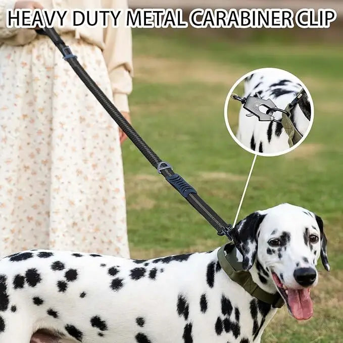 Shock-Absorbing Bungee Dog Leash – Strength Meets Comfort - Pet Bliss