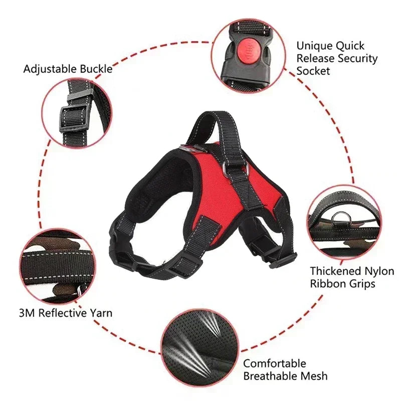 No-Pull Adjustable Dog Harness with Leash – Comfortable & Secure Fit for Dogs - Pet Bliss
