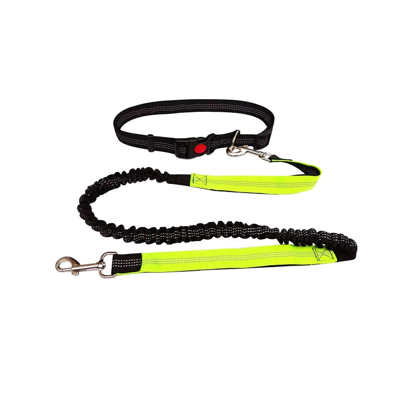 Hands-Free Running Leash – Run, Walk, Play, Repeat - Pet Bliss