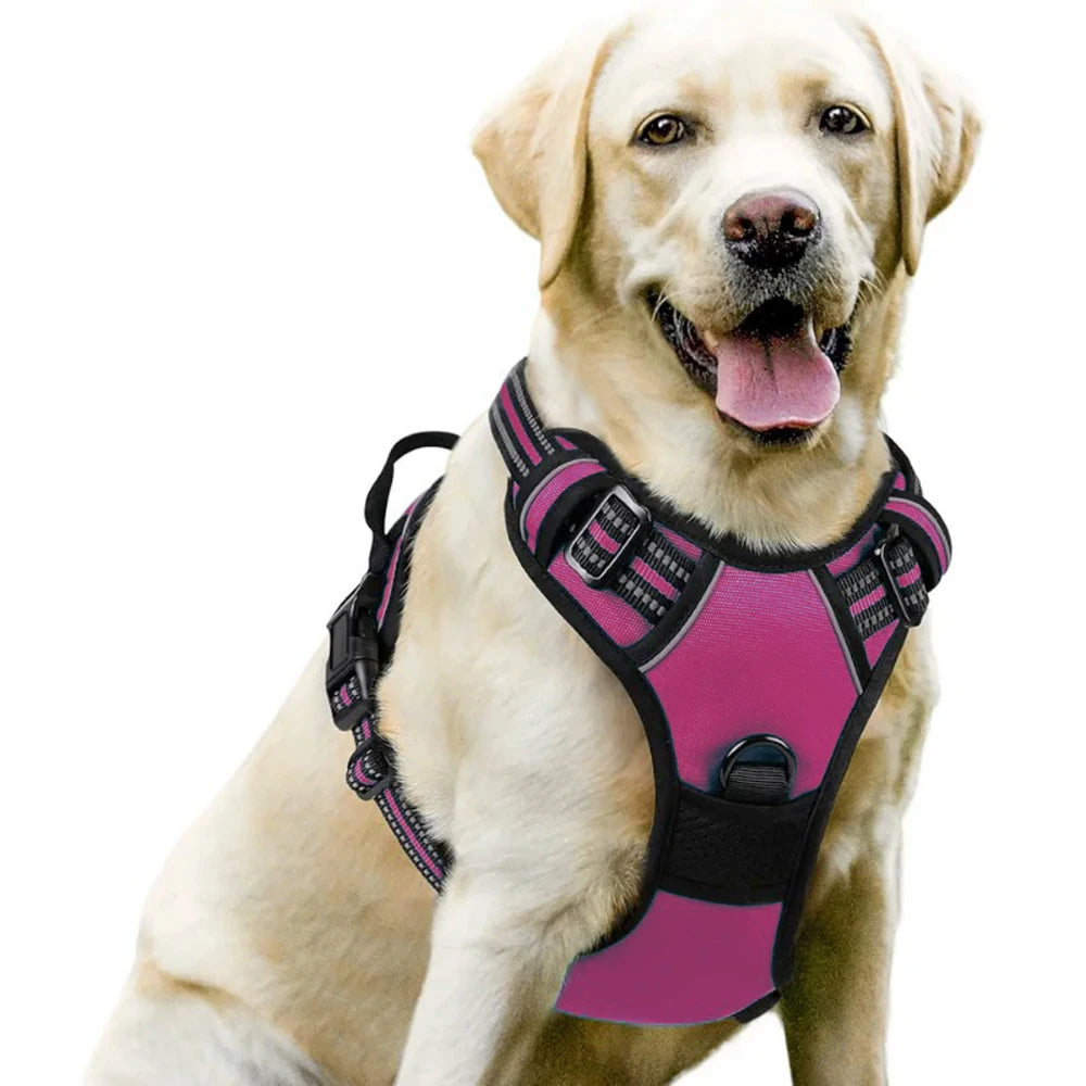 Comfort-Fit Dog Harness – Control Meets Comfort - Pet Bliss