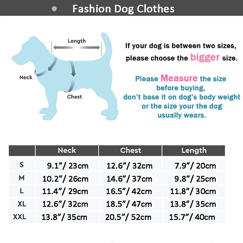 Luxury Quilted Winter Coat – Warmth with a Touch of Class - Pet Bliss
