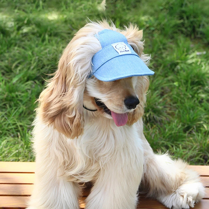 Pawsh Pup Denim Cap 🧢 – Cool Vibes, Protected Eyes - Pet Bliss