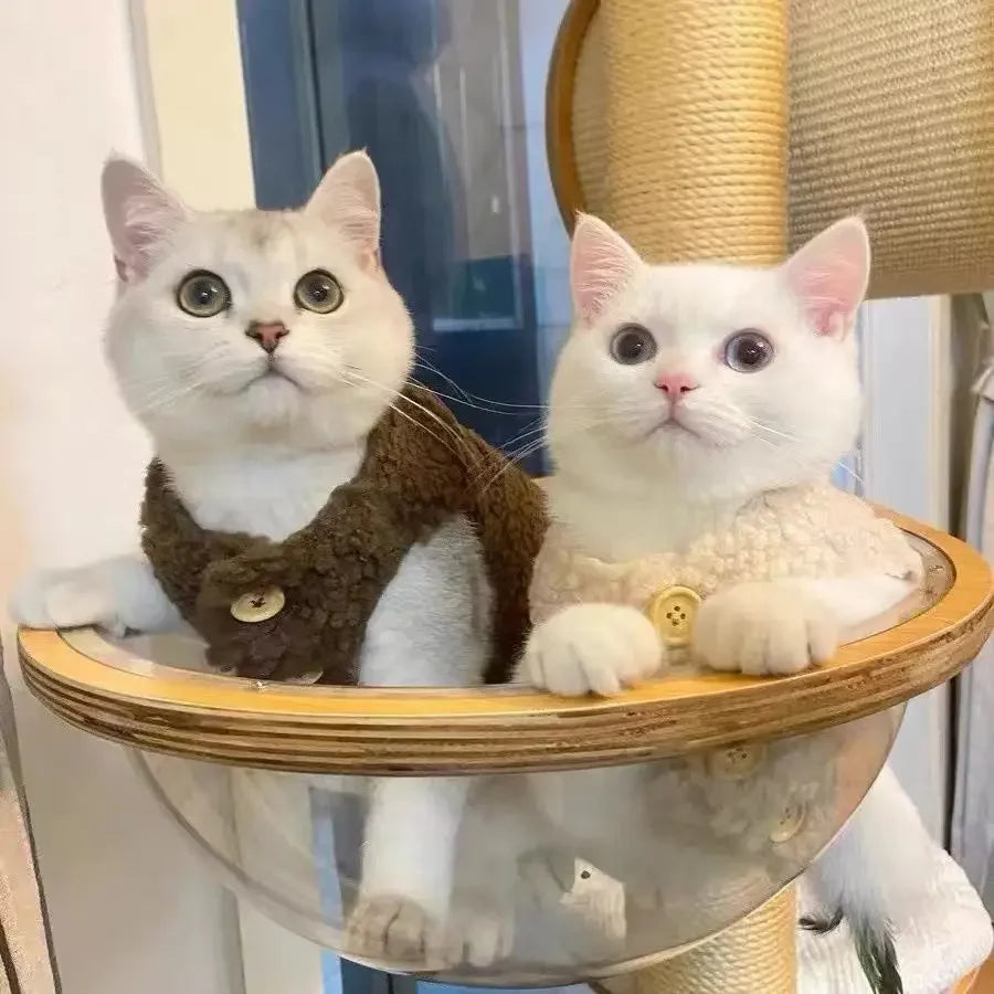 🧥Chic Wool-Style Buttoned Pet Vest – Vintage vibes for your fashionable feline (or pup)! - Pet Bliss