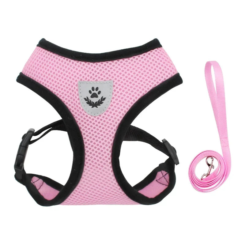 Everyday Mesh Harness Set – Easy, Breezy, Walk-Ready - Pet Bliss