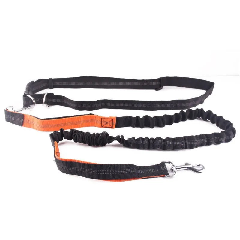 Hands-Free Running Leash – Run, Walk, Play, Repeat - Pet Bliss