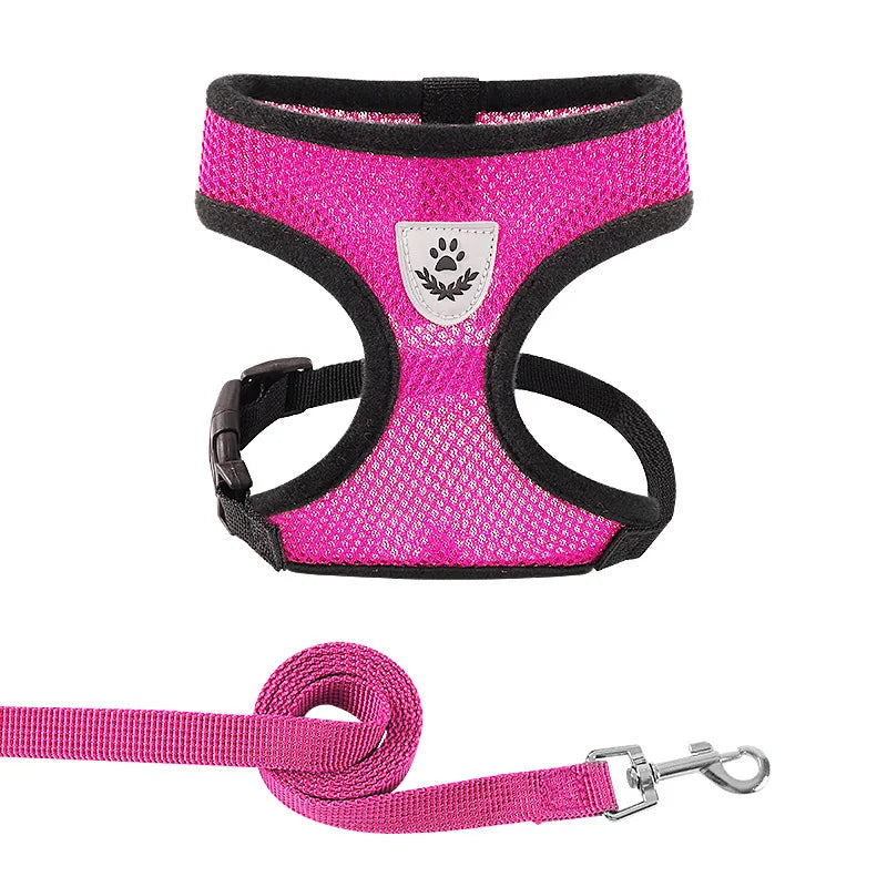 Everyday Mesh Harness Set – Easy, Breezy, Walk-Ready - Pet Bliss